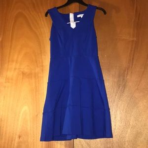 Banana Republic Fit and Flare Dress